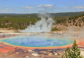 Colorful Grand Prismatic Spring in Yellowstone National Park Wyoming