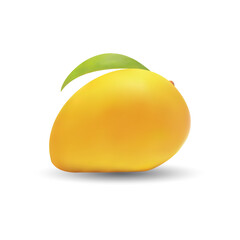 Realistic mango illustration on white