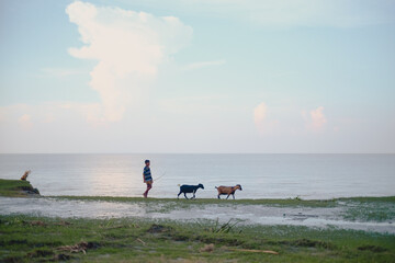 Young teenage goat keeper walking with his domestic pets near a river, people relaxing in a riverbank meadow 