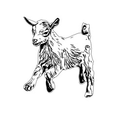 Black and white sketch of a goat with transparent background