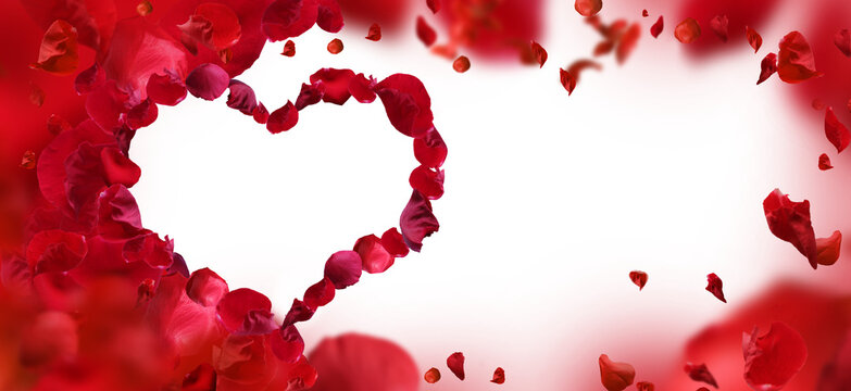 mother's day, heart background with rose petals on a transparent background.