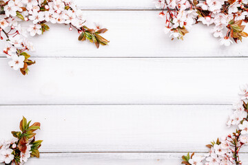 Spring border, April floral and spring blossom nature on wooden background. Branches of blossoming. Easter and spring greeting cards with copy space. Springtime.