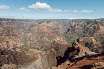 Aerial view of the canyon. Mountains of red dust and green vegetation. Travel, adventures
