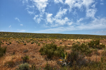 Fototapeta premium Scenic view of nature reserve near Armacao de Pera
