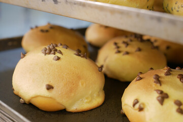Freshly baked bread lies on the shelves ready for sale. 
