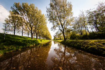Fototapeta na wymiar Canal in park Amsterdam Netherlands 