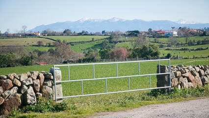Puerta de barrotes metálicos en dehesa de Asturias