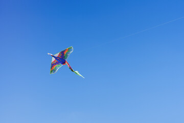 Fototapeta na wymiar Colorful kite soars high in the sky Blue sky. Sports kite festival. Clean Monday in Greece. A flying kite with a wriggling tail. Copyspace, banner