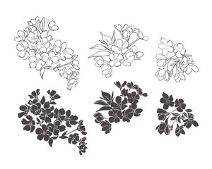 set of sakura flowers on a white background. vector illustration of cherry blossom © Анастасия Гусарова