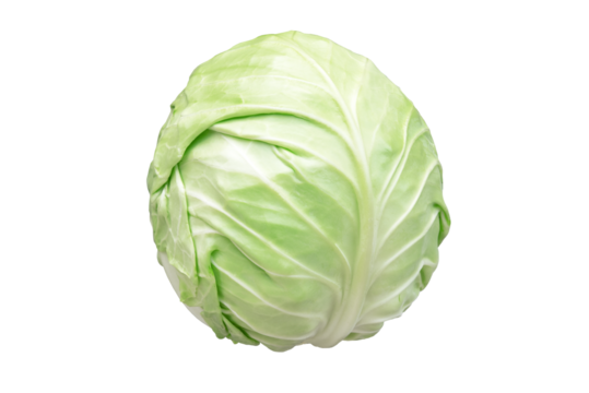 KAPUSTA
Green cabbage isolated on transparent background png