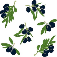 Black olives pattern. Vector image.