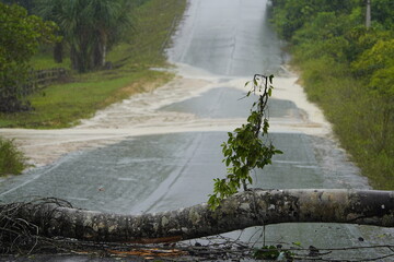 Dangerous situation, this tree fell on the road just before arriving at this place. The cause was a...