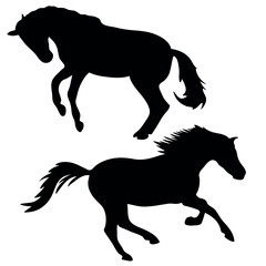 Fototapeta na wymiar Black and white vector flat illustration: Race horse silhouette