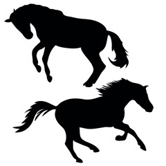 Black and white vector flat illustration: Race horse silhouette