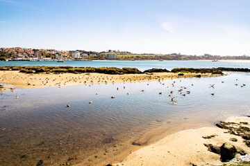 view of the beach at sunset