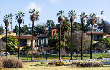 Los Angeles parks and recreational background with palm trees