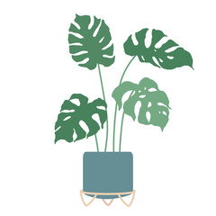 Monstera in flower pots on stands.Vector graphics.