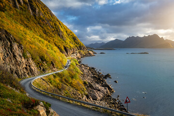Idyllic coastline road leading through the beautiful nature of Lofoten, Norway, Europe.