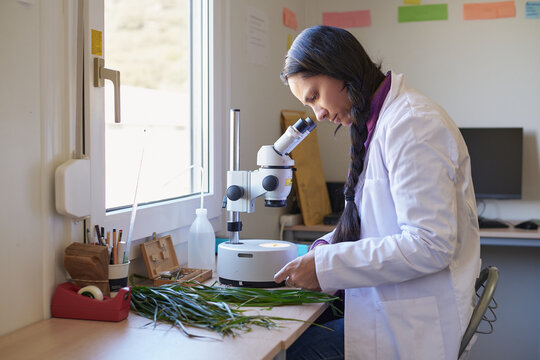 Female native american scientist in the laboratory