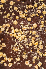 Chocolate hazelnut fudge