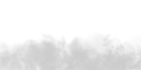 PNG fog texture isolated on transparent background. Steam special effect. Realistic fire smoke or mist	