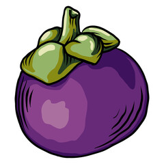 drawing isolated mangosteen, It can also be used to decorate the look of a website or social networking site, as well as postcards, highlight individual PNG objects.