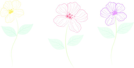 3 flowers illustration