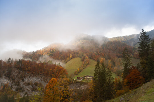 Morgennebel