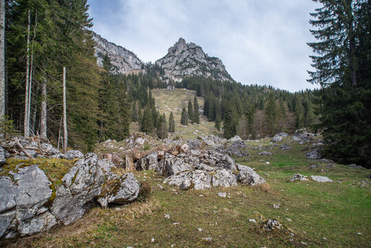 Br&auml;ugf&ouml;llalm