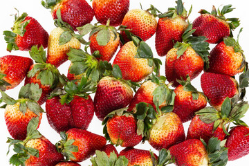 Fragaria - Tasty And Healthy Strawberries; photo on white background