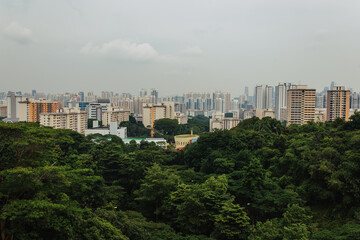 Fototapeta premium Urbanisation and skyscrapers meets rain forest in Singapore 