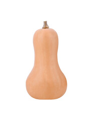 butternut squash solated on  transparent png