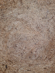 natural texture