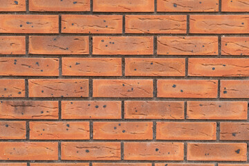 brick wall