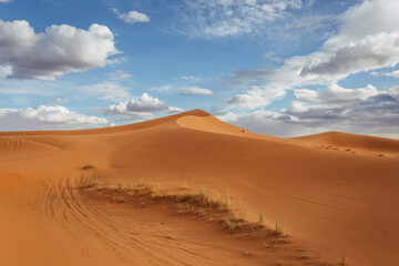Fototapeta na wymiar sand dunes in the desert with blue sky 