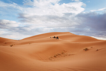 Fototapeta na wymiar Tourists enjoy camel ride in desert