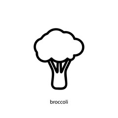 Broccoli icon in linear style. Simple vegetarian food sign.