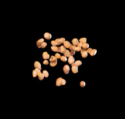 Peanut flying explosion, brown grain peanuts explode abstract cloud fly. Beautiful complete seed pea peanut splash in air, food object design. Selective focus freeze shot black background isolated