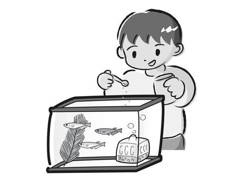 recommend clip art: メダカのお世話をする男の子（エサやり）