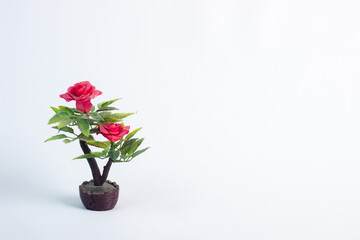 A mini insulated flower pot isolated on a white background