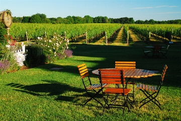 A small picnic table in the middle of a vineyard and winery offers an idealic spot for fresh wine...