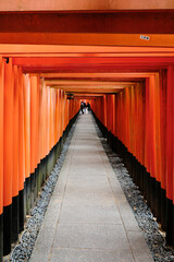 A shot of a path of torii gates at Fushimi Inari Shrine in Kyoto, Japan