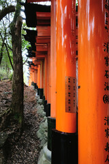A shot of a path of torii gates at Fushimi Inari Shrine in Kyoto, Japan