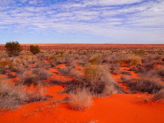 Landscape of Outback Australia, Red sand of Simpson Desert