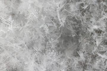 ice snow crystals background abstract white winter