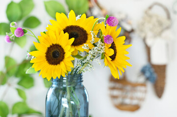 ひまわり　ミニひまわり　明るい部屋