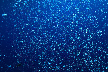 bubbles under water diving background