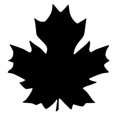 black and white of leaf shape