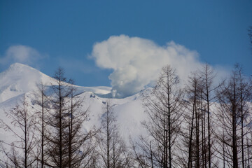 冬の晴れた日の雪山とカラマツ林
