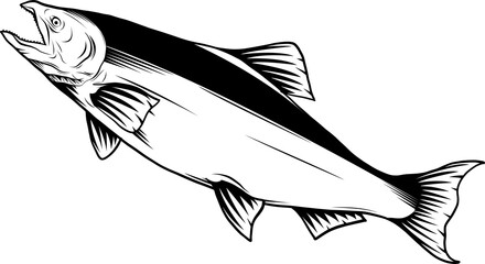Salmon art highly detailed in line art style.Fish png by hand drawing.